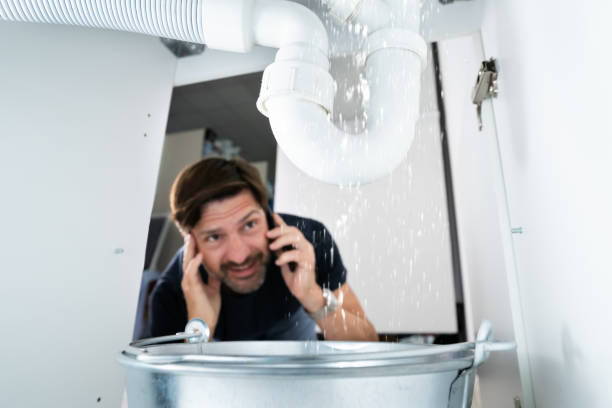 Best Best Plumbers Near Me  in Harvey, ND